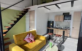 Apartaestudios Las Astromelias Salento